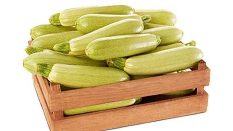 İstanbul'un en pahalısı 'kabak'