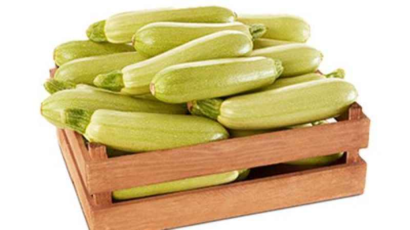 İstanbul'un en pahalısı 'kabak'