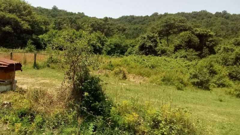 Örnek No:55* T.C.ŞİLEİCRA DAİRESİ 2023/64 TLMT. TAŞINMAZIN GAZETE VEYA İNTERNET HABER SİTESİ İLANI