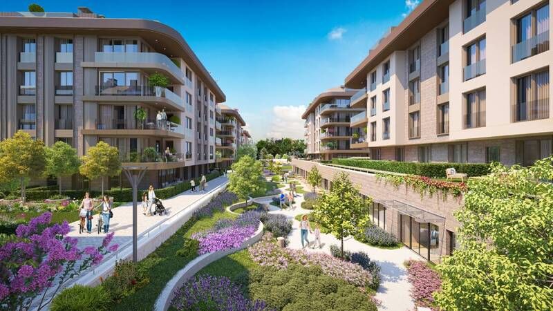 Litus İstanbul’da yaşam başladı