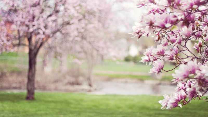 Kapı ve pencereleri kapalı tutun! Kapı ve pencereleri kapalı tutun!