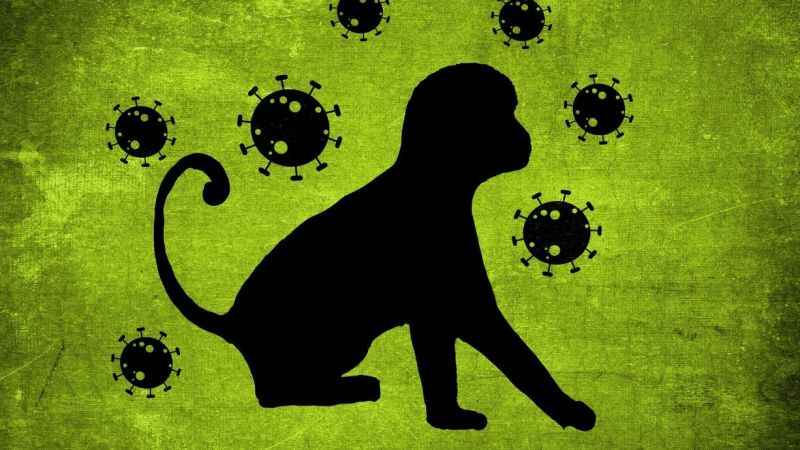 Maymun çiçeği virüsü Güney Kore’de de görüldü!