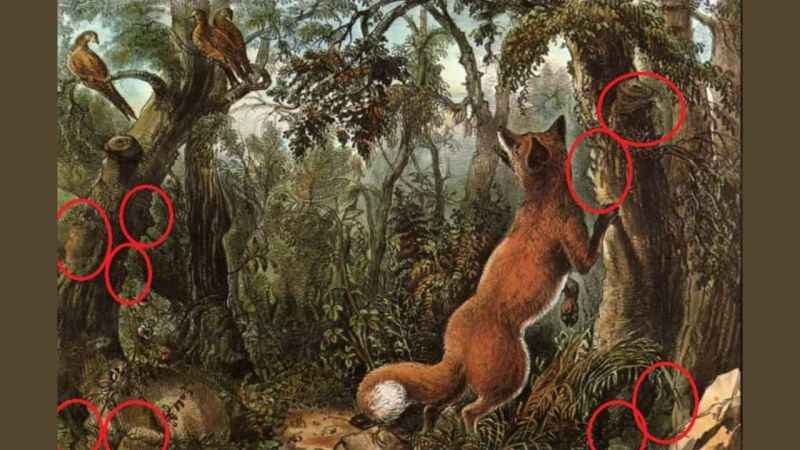 Ormandaki gizli yüzleri bulanın IQ seviyesi arşa çıkıyor! 