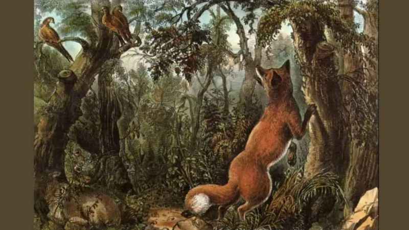 Ormandaki gizli yüzleri bulanın IQ seviyesi arşa çıkıyor! 