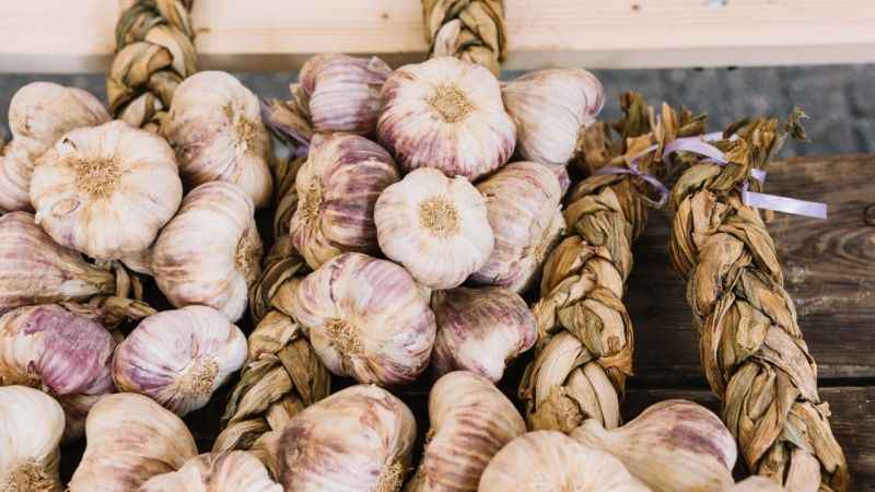 Sarımsak tarlada 15, markette 40 lira