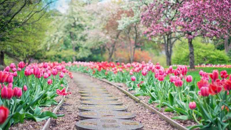 Bahar aylarında alerjik astıma dikkat!