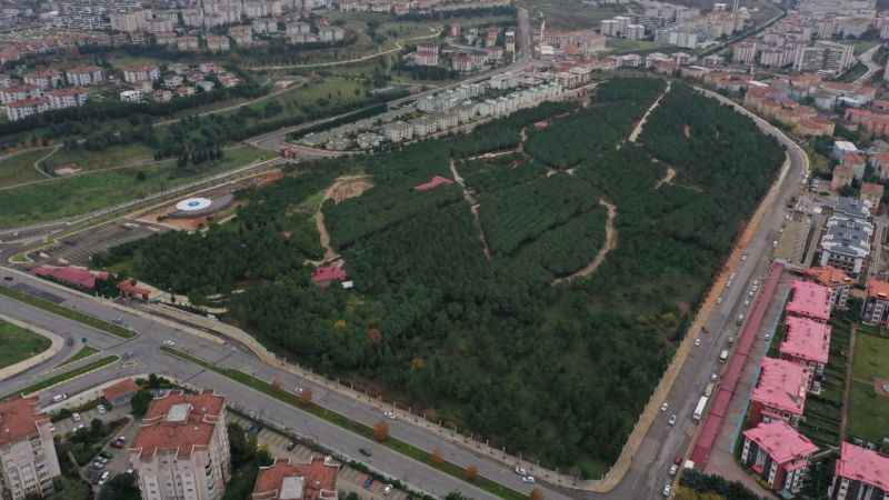 Pendik'te doğa ve eğlencenin buluşma noktası: Pendik Korusu