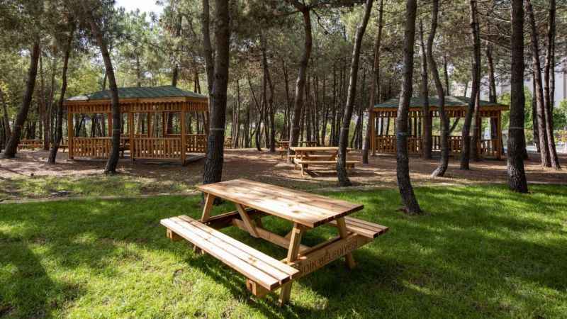 Pendik'te doğa ve eğlencenin buluşma noktası: Pendik Korusu