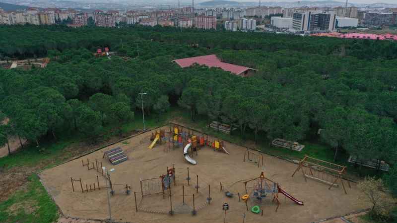 Pendik'te doğa ve eğlencenin buluşma noktası: Pendik Korusu