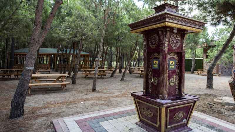 Pendik'te doğa ve eğlencenin buluşma noktası: Pendik Korusu