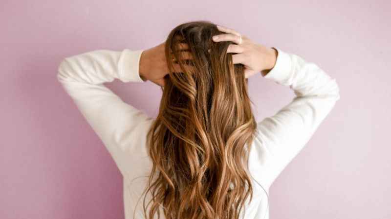 Evcil hayvanınız yüzünden saçlarınızı kaybetmeyin!