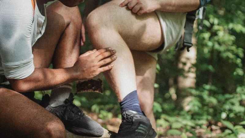 “Piknik sonrası kene kontrolünü ihmal etmeyin”