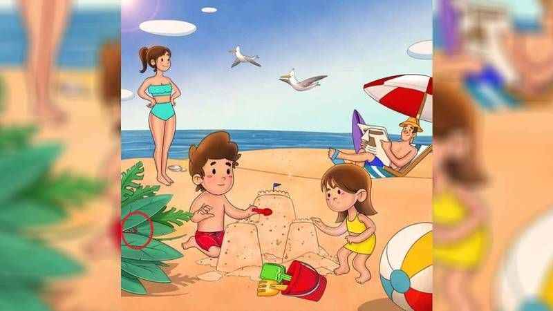 Sadece 7 saniyeniz var! IQ’su 150 olanlar çözüyor… Yengeci gördünüz mü?