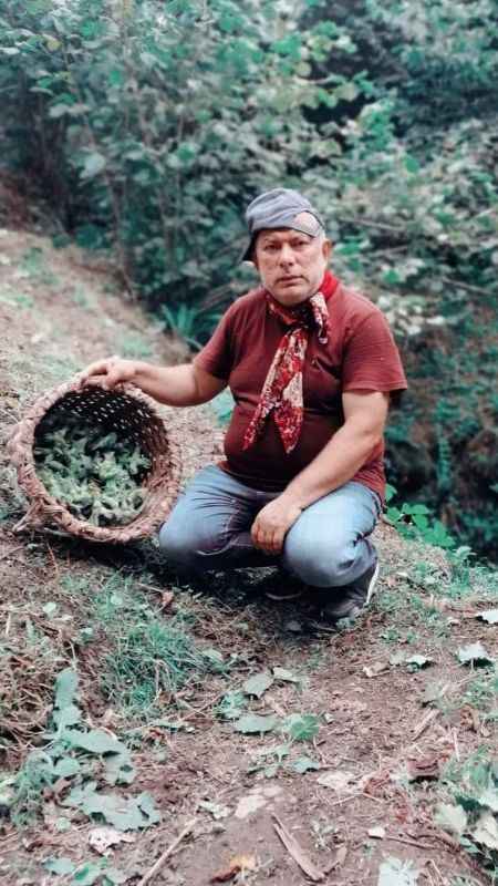 Giresunlu fındık üreticilerinin endişesi serbest piyasada oluşacak fındık fiyatı