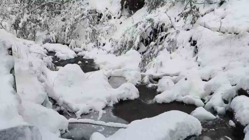 Hava sıcaklığı -5’in altında ölçüldü: O şelale kısmen dondu