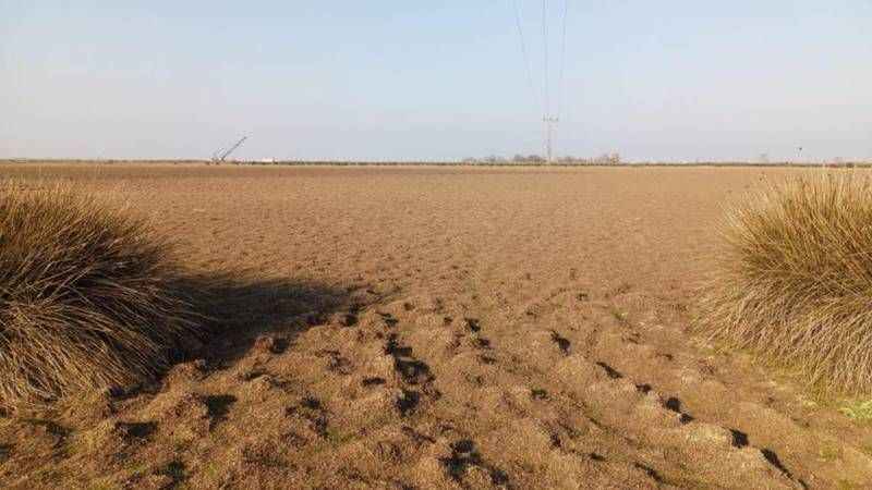 Türkiye’nin yüzde 22,5'i yüksek çölleşme riski altında