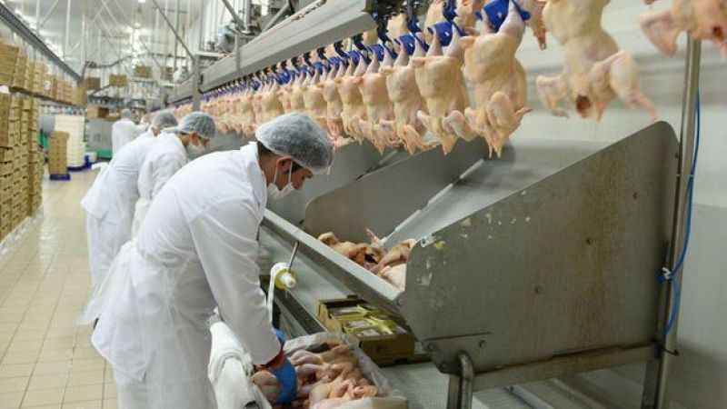 Tavuk eti üretimi azaldı