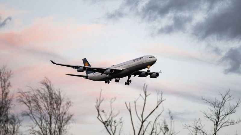 Paris uçağının iniş takımında donmak üzereyken bulundu