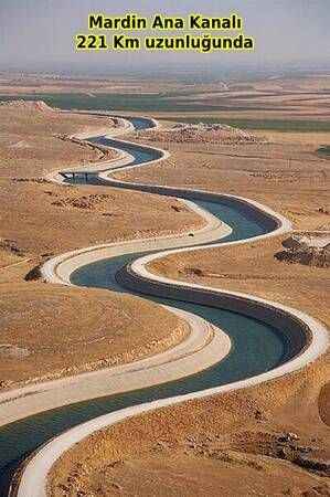 Prof. Dr. Veysel Eroğlu:" Türkiye orman varlığını artıran nadir ülkelerden biri"