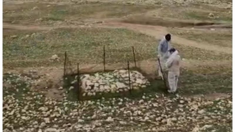 Irak’ta terör örgütü DEAŞ’ın katlettiği Yezidilere ait toplu mezar bulundu