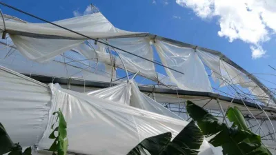 Antalya'da hortum muz serasını vurdu, 5 dönümlük alan savaş meydanını aratmadı