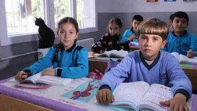 İzmir'in Patili Okulu