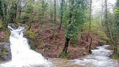 Kazdağları’ndan sevindiren görüntü