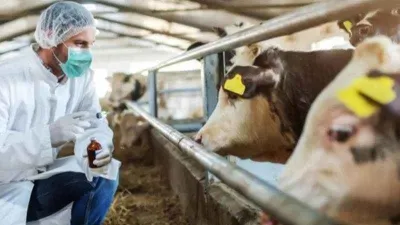 Solunum ve temas yoluyla insanlara bulaşıyor...