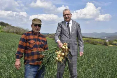 Soğan fiyatları bayramdan hemen sonra düşecek