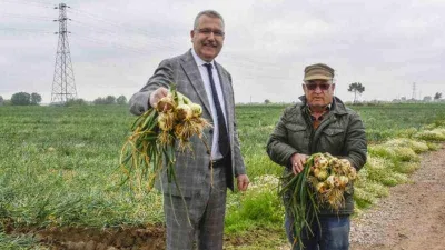 Soğan fiyatı 7 liraya kadar düşecek