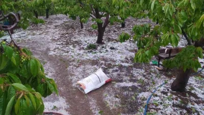 Amasya Suluova’da sağanak ve dolu 4 köyde arazileri vurdu