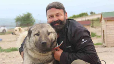 Köpeklerde yaz aylarında bu belirtilere dikkat