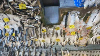 Balık fiyatları düştü, Karadeniz somonu 300 yerine 100 liradan satılıyor
