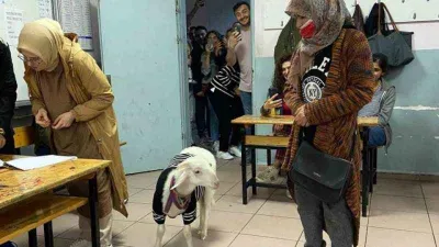 Üzerine kazak giydirdiği kuzusuyla oy kullanmaya geldi