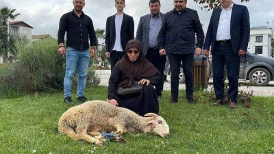 Erdoğan'ın zaferi için koç kestirdi