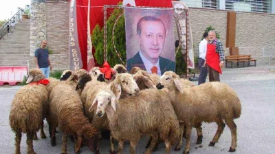 Elazığlı iş adamı, Erdoğan için 20 adak kurbanı kesti