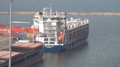 Büyükbaş taşıyan ’yüzen ahır’ Bandırma’da