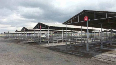 Sivas’ta tüm hayvan pazarları kapatıldı!