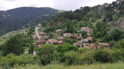 Bu köyde tüm oylar Erdoğan’a çıktı