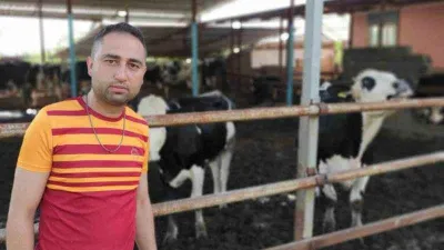 Hayvanları sele kapıldı, ağlayarak video çektiler