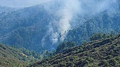 Hatay’da orman yangını