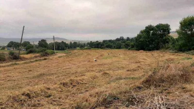 İhtiyaç sahiplerine un dağıtılacak