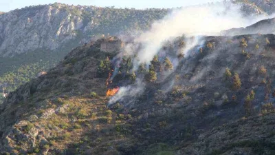 Amasya’da orman yangını kontrol altına alındı