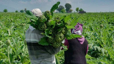 Migros deprem bölgesindeki üreticilere desteğe devam ediyor