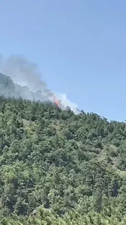 Ankara’da orman yangını çıktı