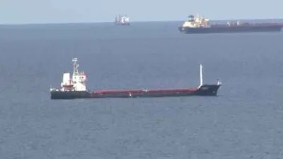 Ukrayna tahılını taşıyan gemi İstanbul Boğazı açıklarında