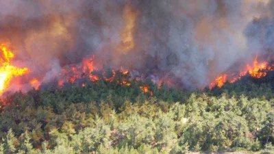 İzmir'de bir orman yangını daha başladı
