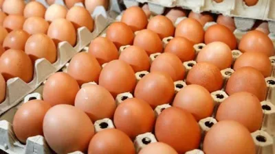 Zam şampiyonu yumurta oldu