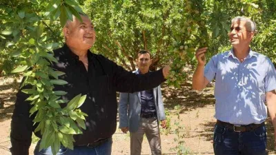 Badem üreticileri Cumhurbaşkanından müjde bekliyor