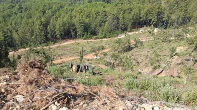 Muğla’da orman kesim alanında iş kazası: 1 ölü